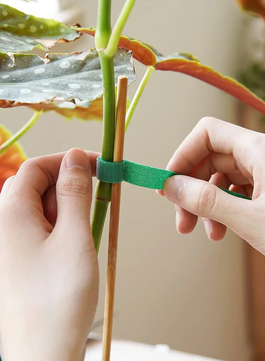 Self Adhesive Plant Nylon Cable Tie Green Adjustable Plants Hook Loop Support Garden Twine Bandage Reusable Fastener Tape Strips