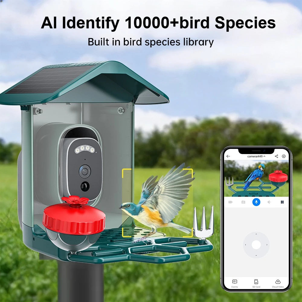 Jooan 4K Solar Bird Feed Camera 2.4G WiFi Outdoor IP Camera Feeder Waterproof HD Bird Video Night Vision Identify Birds Species