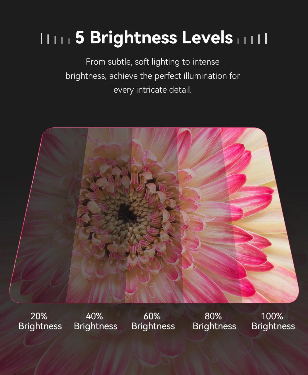 Light pad with five brightness settings, showing a flower image in varying levels of illumination.