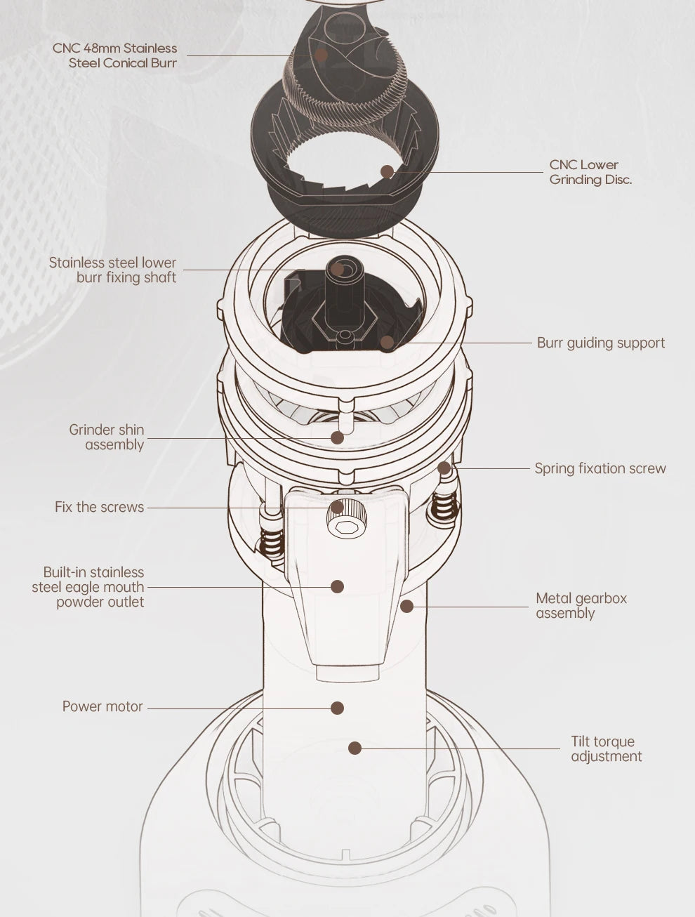Exploded diagram of a coffee grinder featuring a 48mm CNC stainless steel conical burr and metal gearbox assembly.