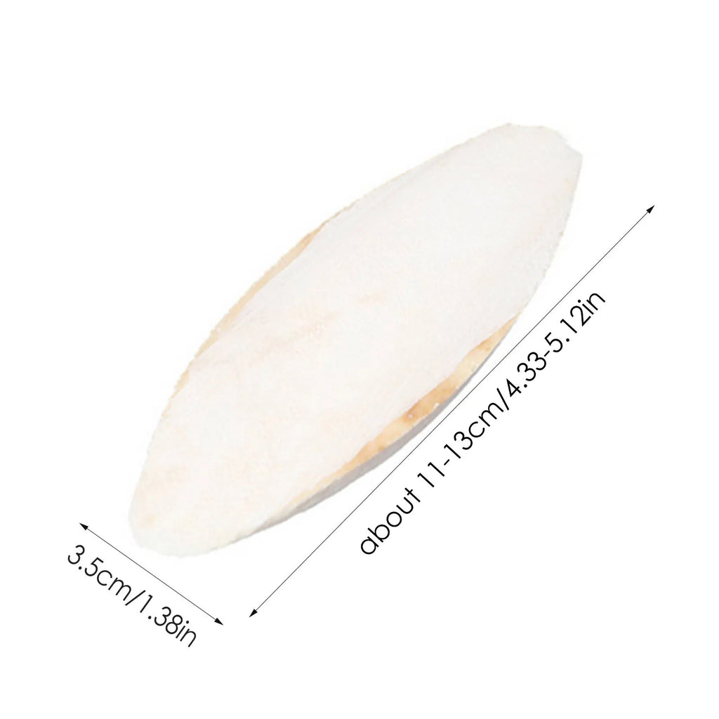 10pcs natural cuttlebone for birds and hamsters, 11-13cm calcium-rich chewing toy for beak health and bone growth.