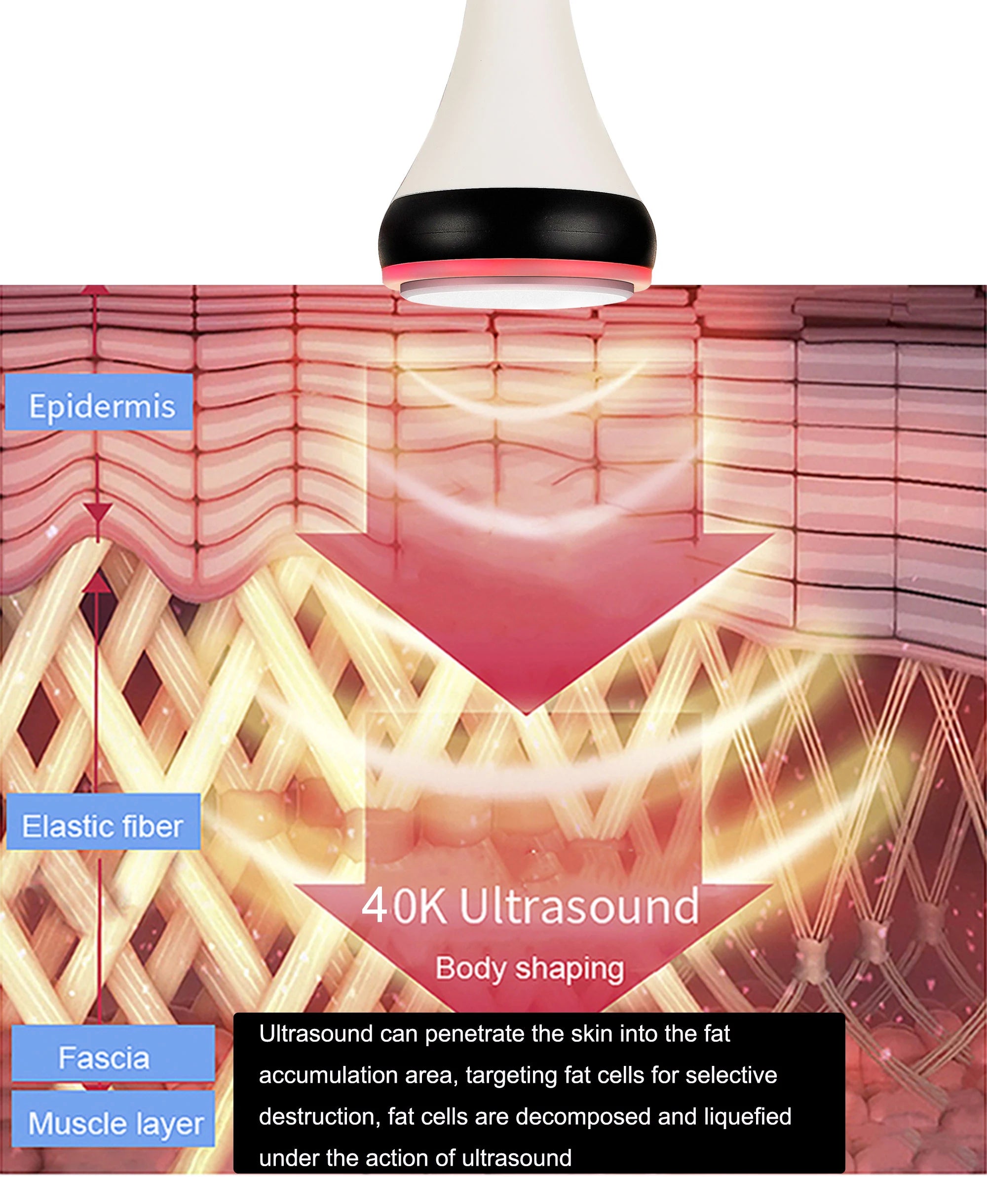 Ultrasonic Cavitation Body Slimmer with RF Skin Tightening - White Relaxation Treatment Tidesmit