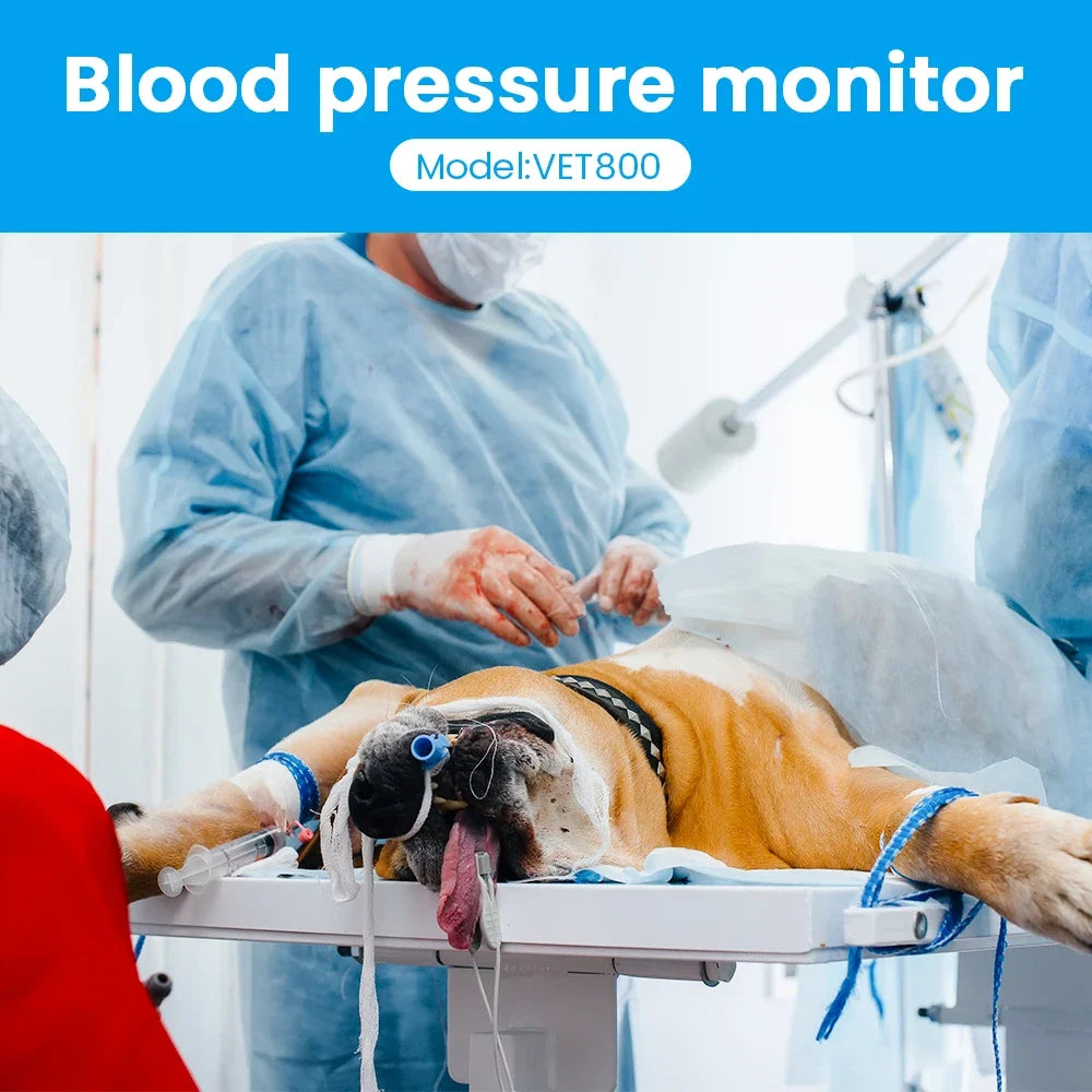 Portable Pet Blood Pressure Monitor with 4.3 Inch IPS Display and Touch Screen for Veterinary Use NIBP Tension Meter