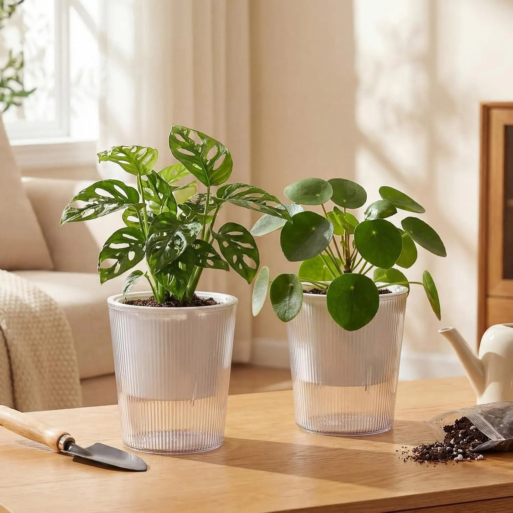 Clear Self Watering Planters Pots Household Anti Rot Self-Watering Planters for Living Room Plants Flowers Gardening Accessory