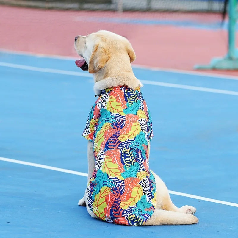 Labrador wearing a breathable, colorful Hawaii-style summer pet T-shirt for a comfortable look for medium to large dogs.