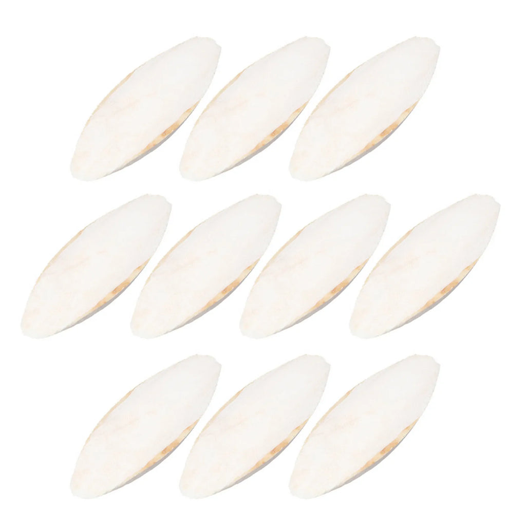 10-pack white cuttlebone for birds: natural calcium-rich chewing toy to support beak health and pet bird nutrition.