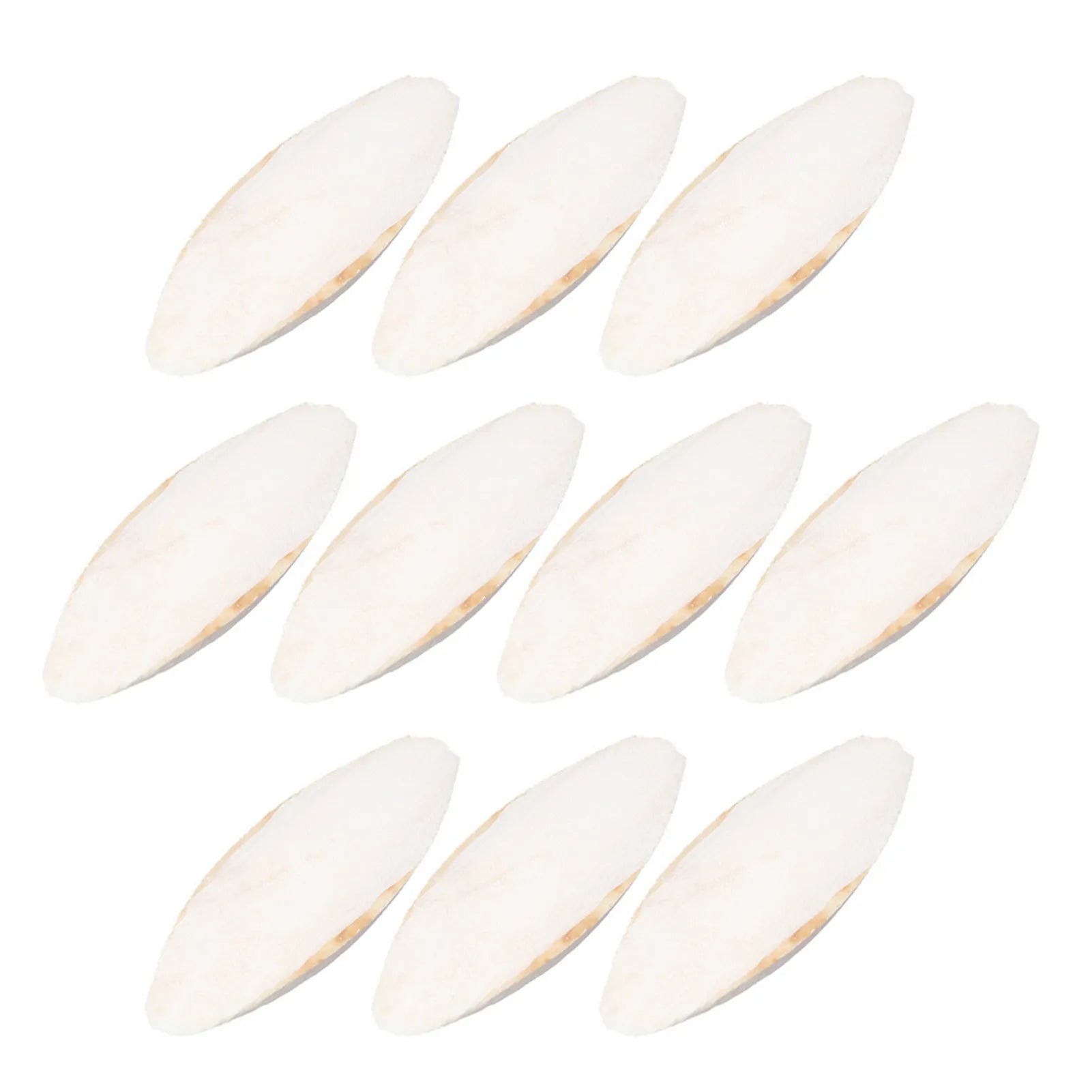 10-pack white cuttlebone for birds: natural calcium-rich chewing toy to support beak health and pet bird nutrition.