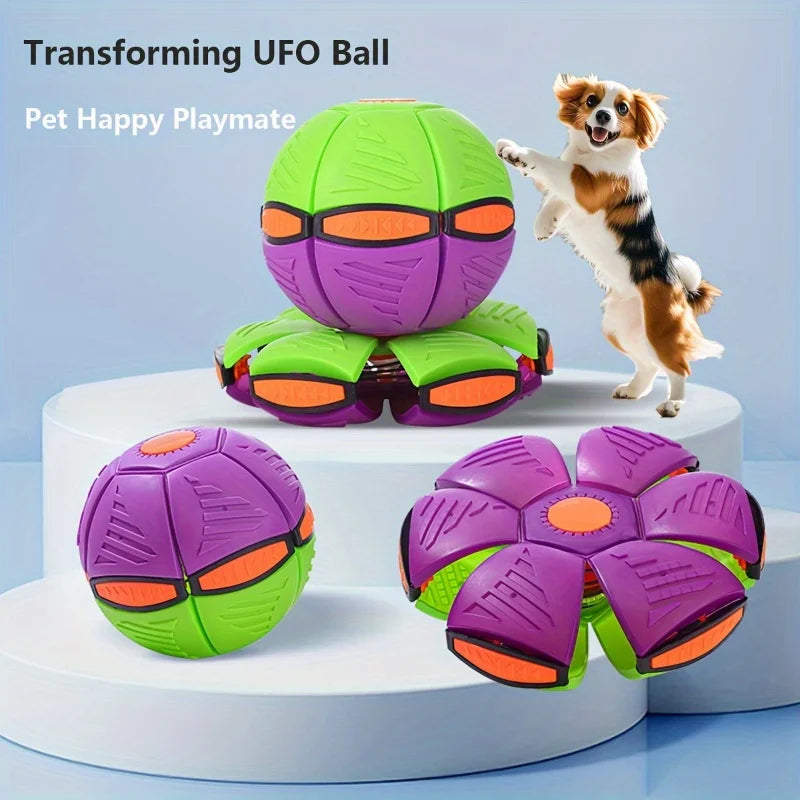 Dog playing with a durable plastic transforming UFO ball toy, interactive green and purple pet training playmate.
