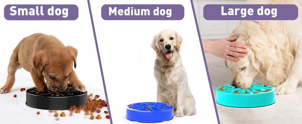 Non-slip dog slow feeder bowls in blue, black, and teal help prevent gulping for small, medium, and large breeds.