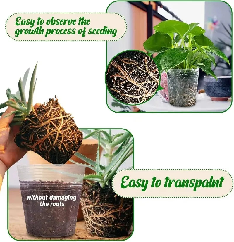 10/50Pcs Transparent Flowerpot Plant Nursery Pot Seedling Cup Gardening Transplantation Potted Flower Pot Planter Gardening Tool