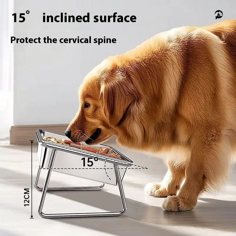 Golden Retriever eating from a 15-degree slanted stainless steel double pet bowl for orthopedic neck support.