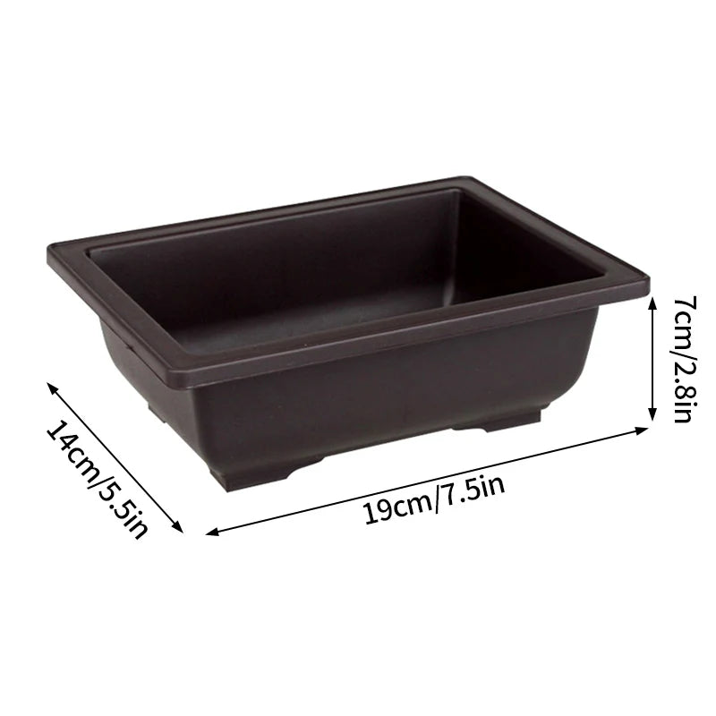 Rectangular black planter pot for succulents and bonsai