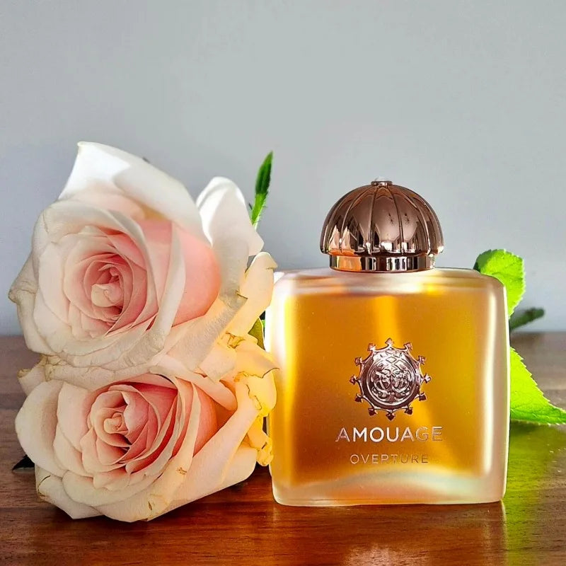 Amouage Overture Women's EDP: 100ml floral oriental perfume in square bottle with gold cap, woody musk amber scent.