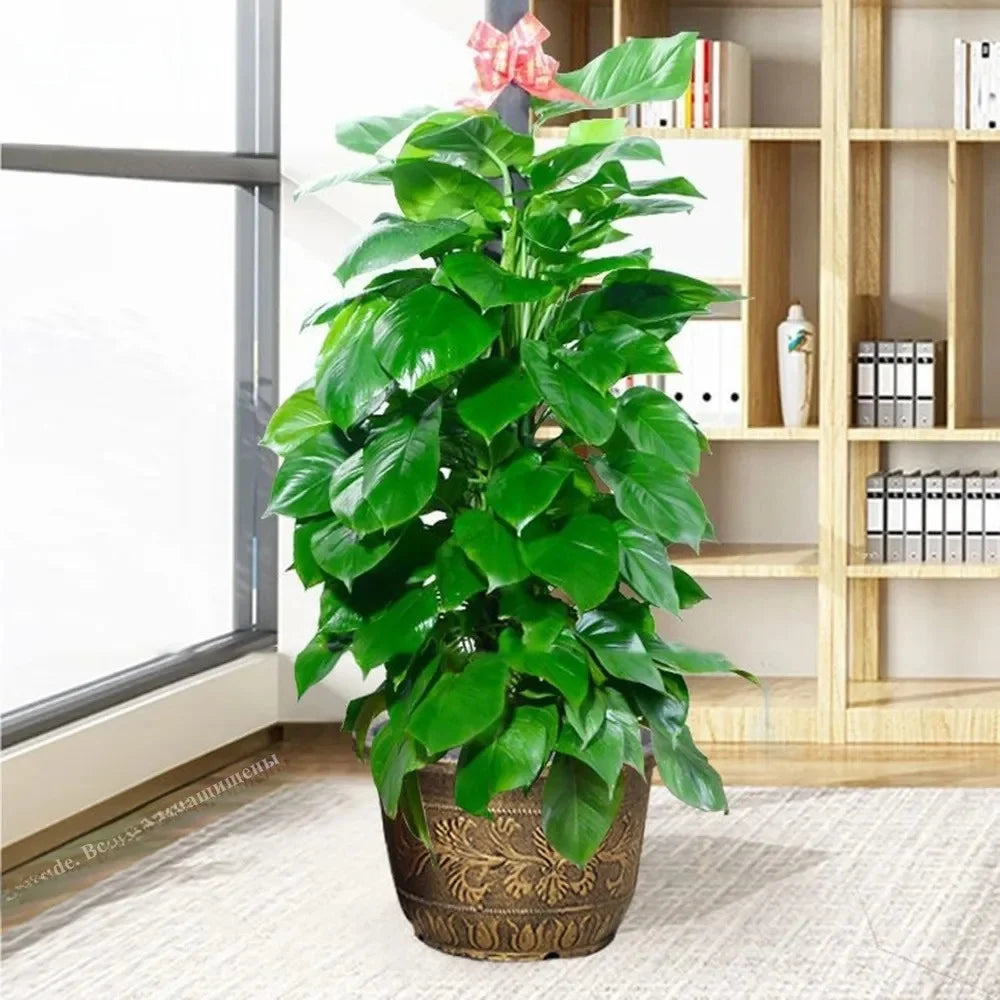 Resin Lotus Planter Pot Large 7.5L Capacity Water Reservoir Planter 19cm Height Copper Bronze Retro Flower Pot Home Gardening