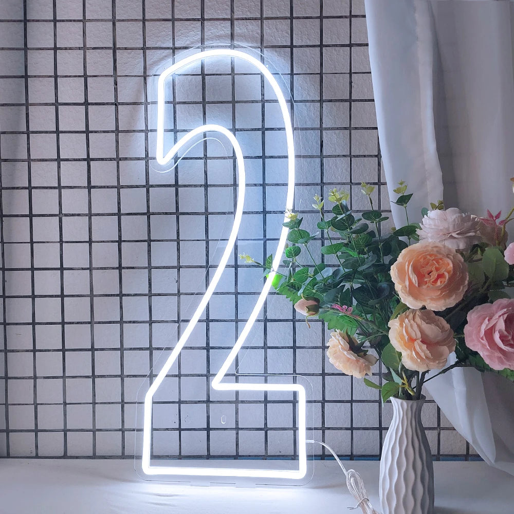 LED Neon Number Sign for Weddings | Customizable Event Lighting 76-100cm number 2 China Mainland Tidesmit