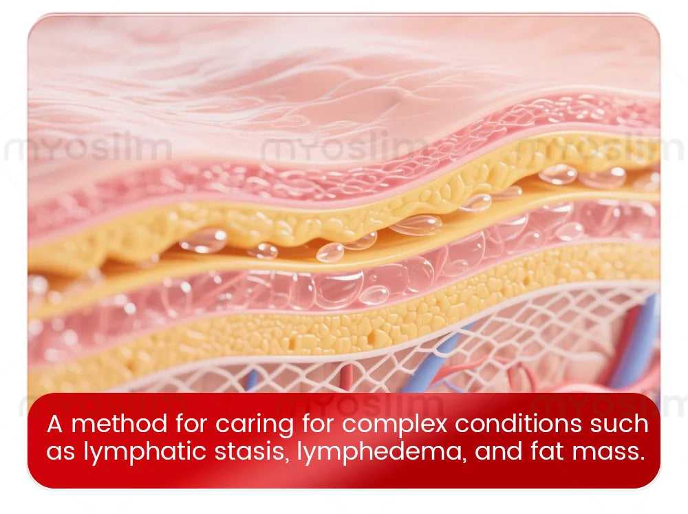 3D cross-section diagram of skin layers for EMS body sculpting, lymphatic drainage, and cellulite fat reduction.