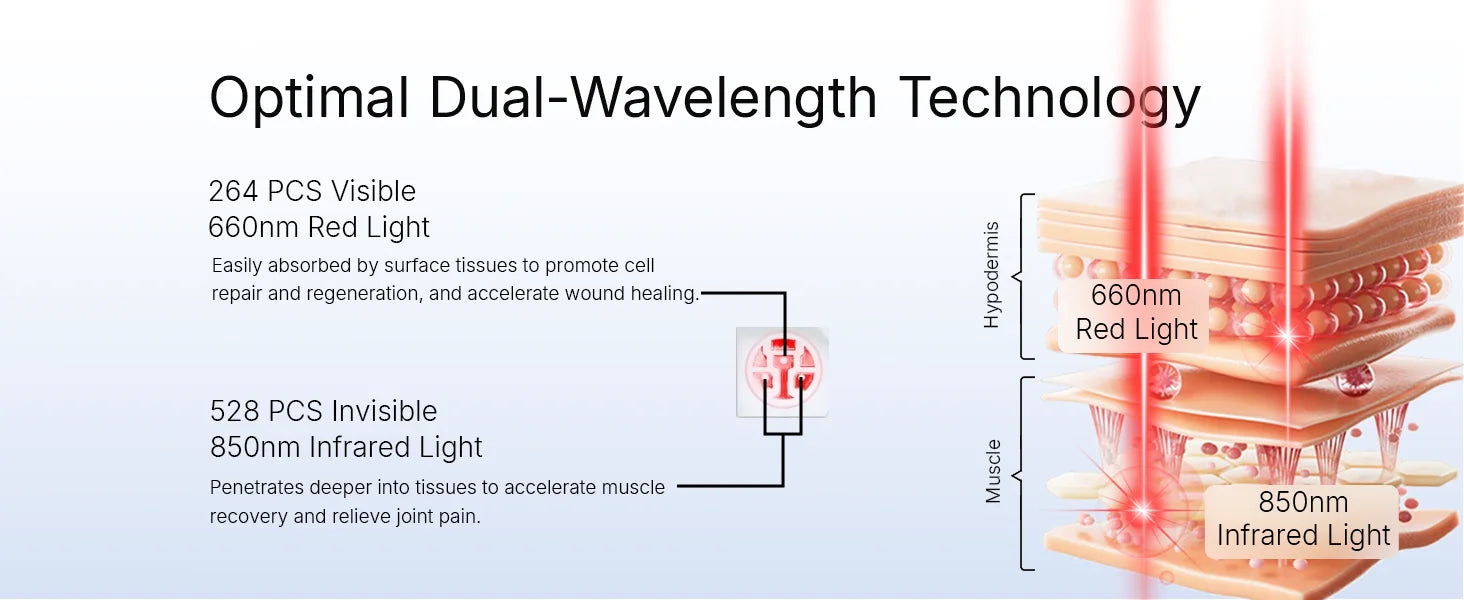 Hello Face L7 red light therapy diagram showing 660nm and 850nm dual-wavelength LED penetration into skin and muscle.