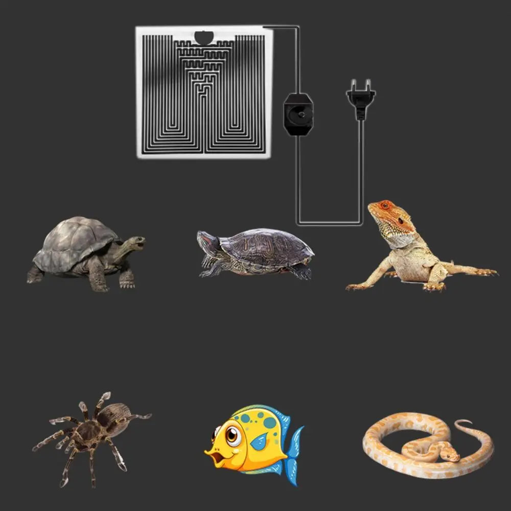Graphene reptile heating mat with temp controller and EU plug for warm, safe terrarium habitats for lizards and snakes.