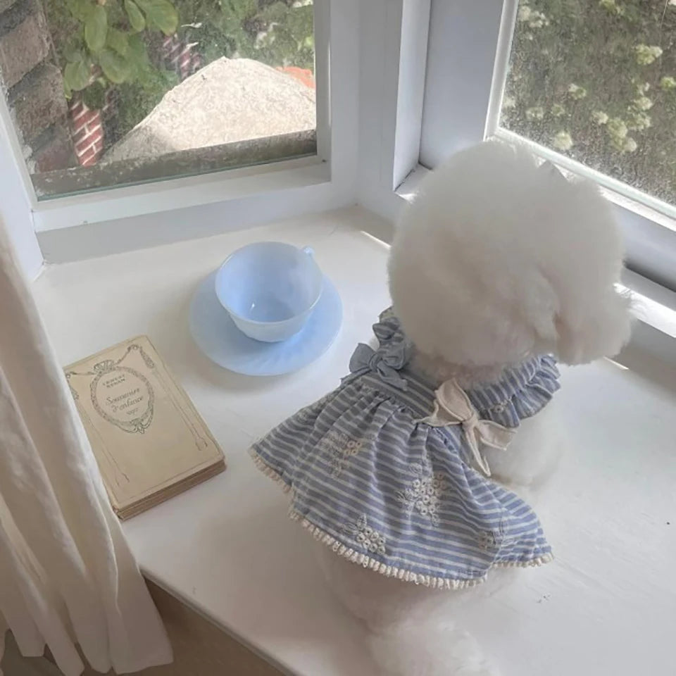 Small dog wearing a cute blue and white striped summer pet dress with a bow, perfect for stylish spring dog fashion.