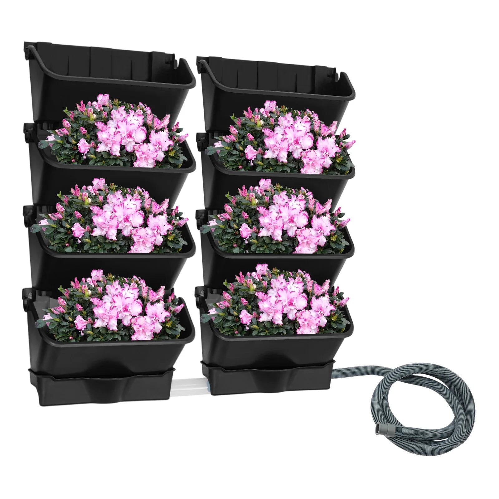 Black vertical wall planter with six planters filled with pink flowers and gray hose