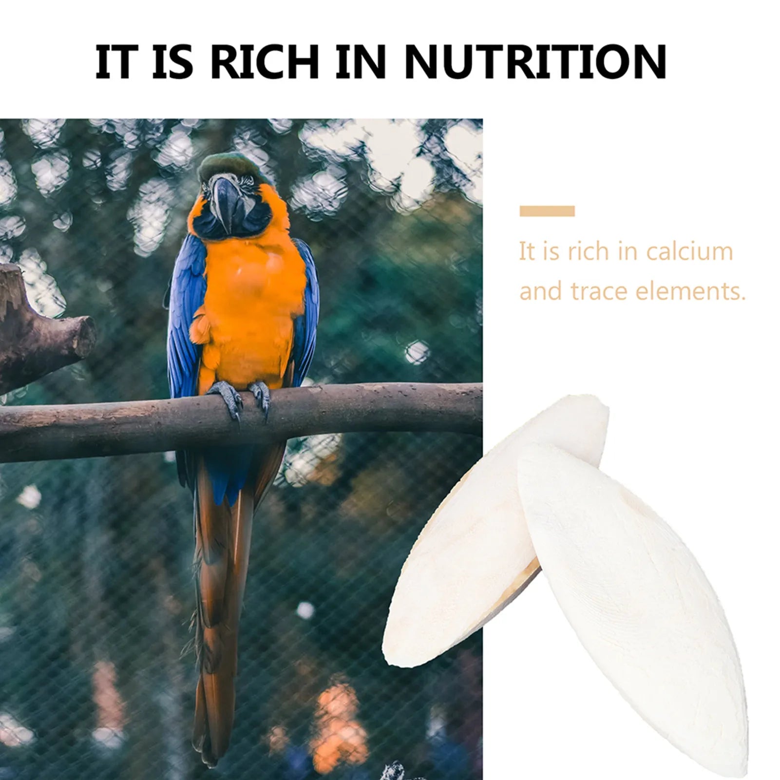 10pcs natural cuttlebone for birds and hamsters, rich in calcium for beak health and chewing.