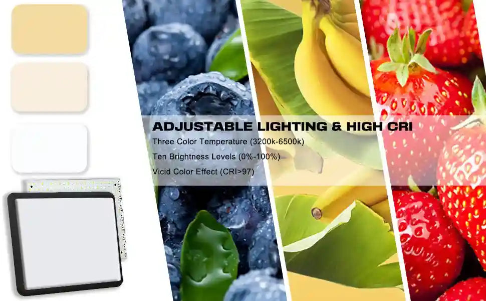 LED Ring Light with Adjustable Tripod Stand for Content Creation Tidesmit