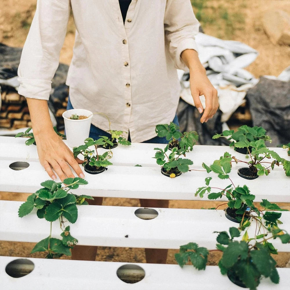 For Hydroponics Drainage Pots Flower Pot Indoor Gardening Setup As Shown Air Circulation Flower Pot Hydroponics