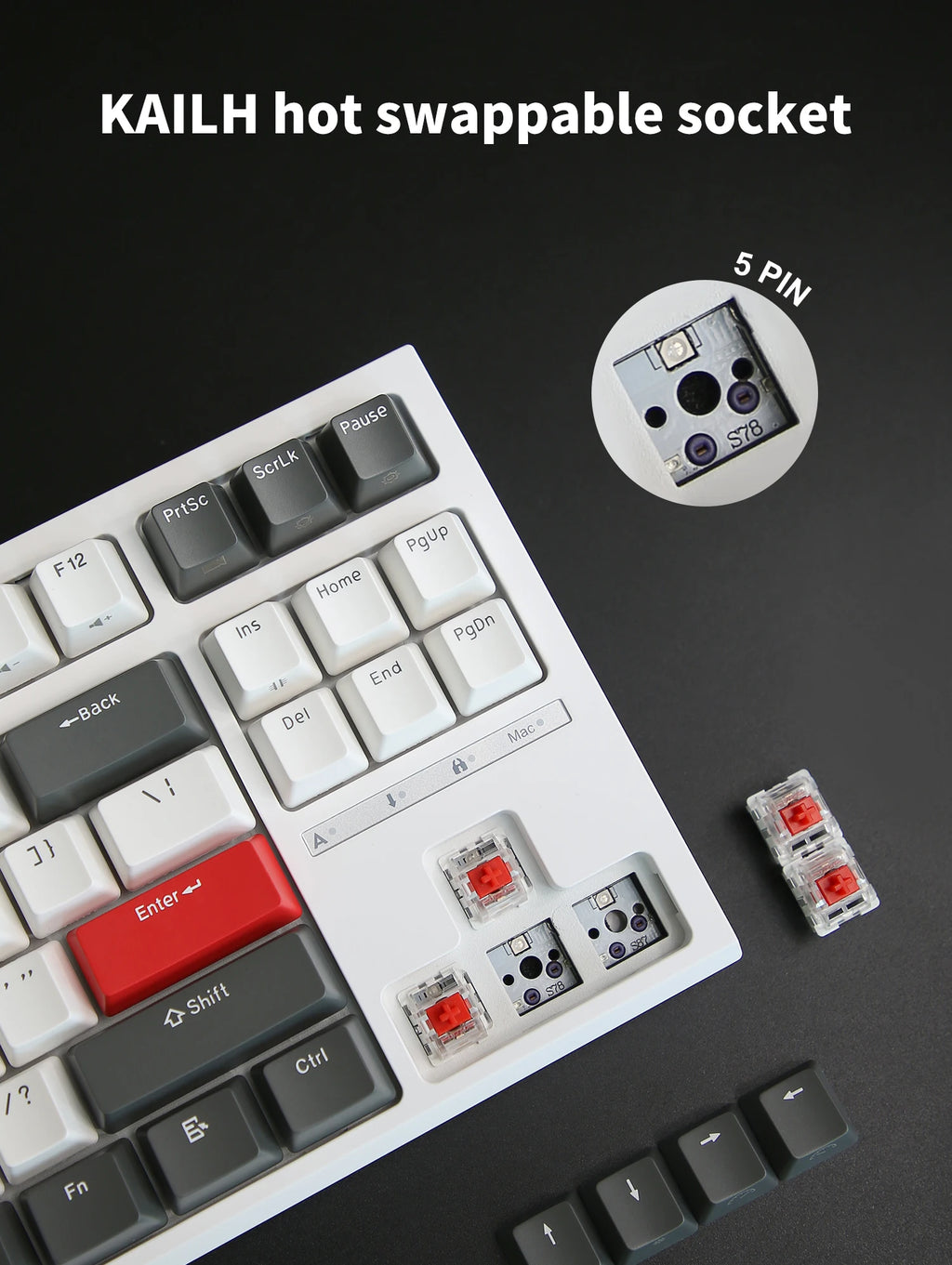 RK ROYAL KLUDGE R87 Wired Brazilian Gamer Keyboard 87 Key RGB Backlit Hot-swappable Mechanical Keyboard Customised Keycaps
