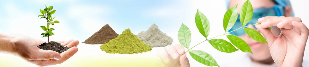 Global Customized Proportion Maitake Extract 20:1  Out Packing Aluminum Foil Bag/New Product