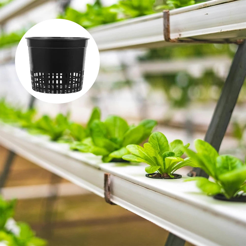 For Hydroponics Drainage Pots Flower Pot Indoor Gardening Setup As Shown Air Circulation Flower Pot Hydroponics