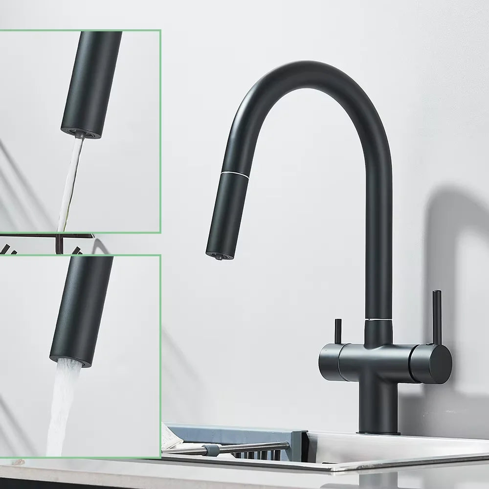 Pure Water Filter Kitchen Faucet Pull Out Flexible Kitchen Faucets Dual Handle Stainless Steel 2 in 1 Hot Cold Water Mixer Tap