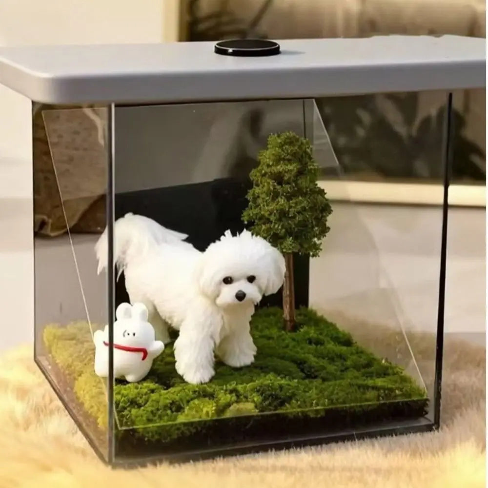 Clear acrylic 3D pet projection house displaying a holographic white dog souvenir for memorial or home decor display.