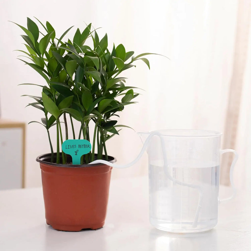 5-20M Self-Watering Wick Cord Vacation Planter Pot DIY Automatic Watering Device System Potted Auto Drip Waterer Cotton Rope