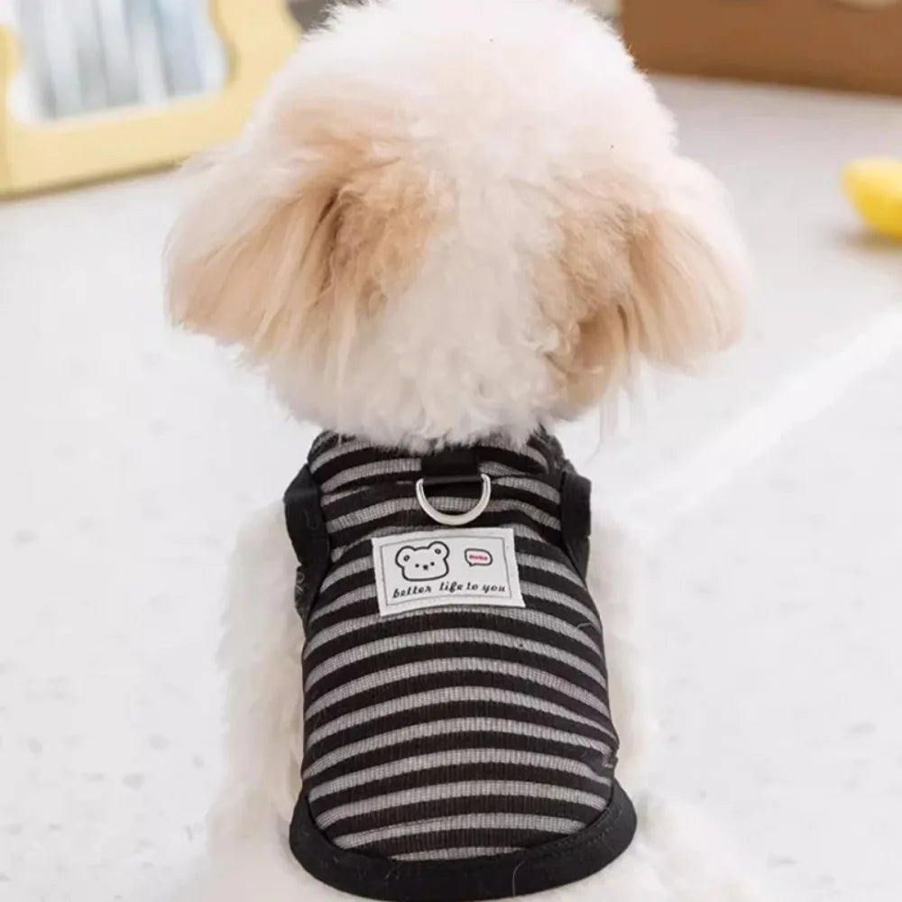 Small dog wearing a breathable, striped black cooling vest with a harness ring for comfortable summer walks.