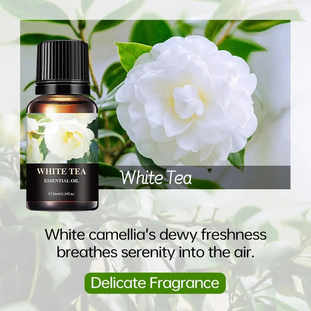 Aromatherapy Essential Oil 10ml Lemon Eucalyptus Lavender Eucalyptus Jasmine Rose Mint Orange Aroma Essential Oil