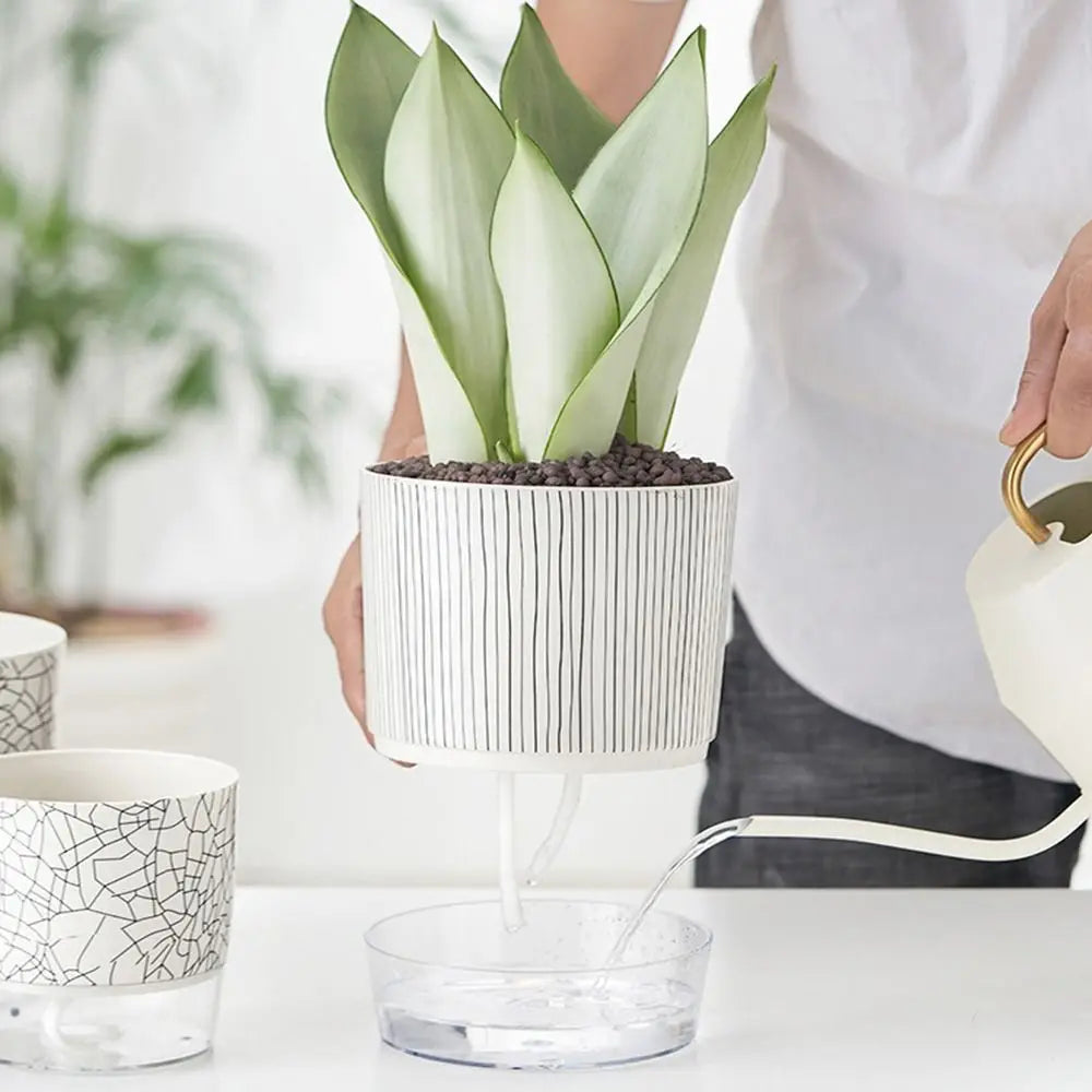 Transparent Self-watering Plants Pot Green Plants Home Bonsai Decor Lazy Flower Pot With Water Container Planter Garden Supplies