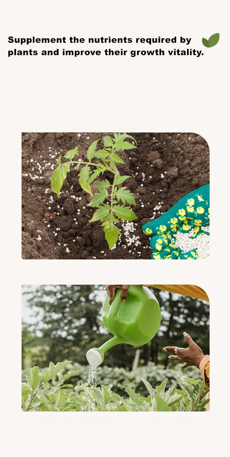350g natural potassium magnesium of sulphate fertilizer Vegetable and fruit universal water-soluble organic fertilizer