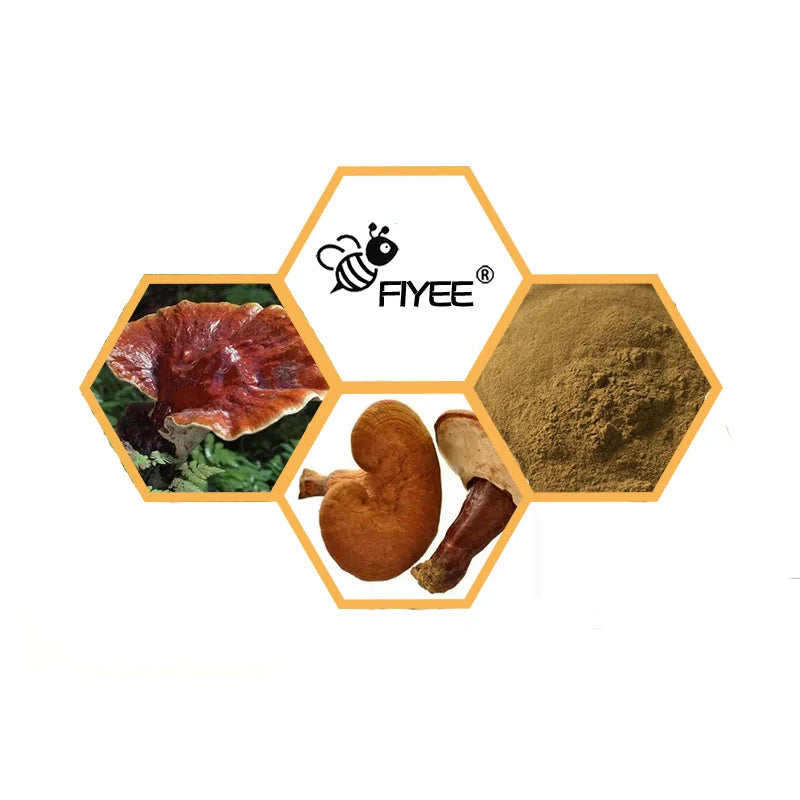 Free Shipping 100g-1000g High Quality 20:1,Lucidum,LingZhiRedReishi