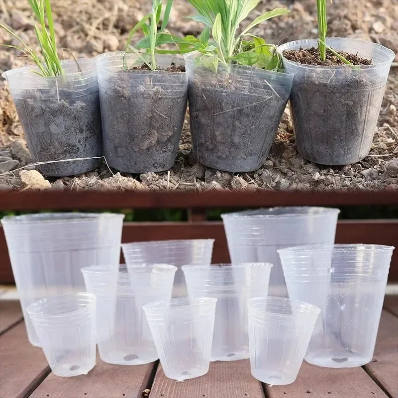 10/50PCS Transparent Seedling Pot Plants Nursery Pot Cups Gardening Transplantation Potted Flowerpot Planter Gardening Tools