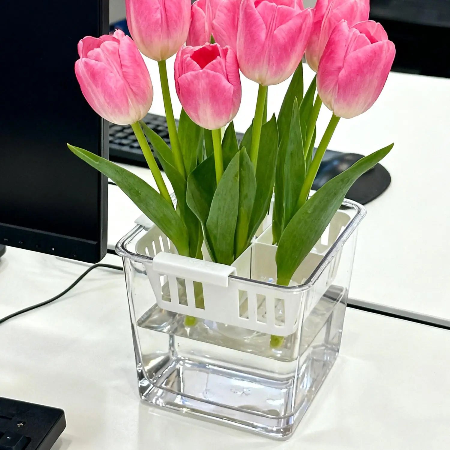 5/1PCS 4 Grids Flower Pot for Hydroponic Tulips Acrylic Breathable Hydroponic Containers for Indoor Gardening Planting Container