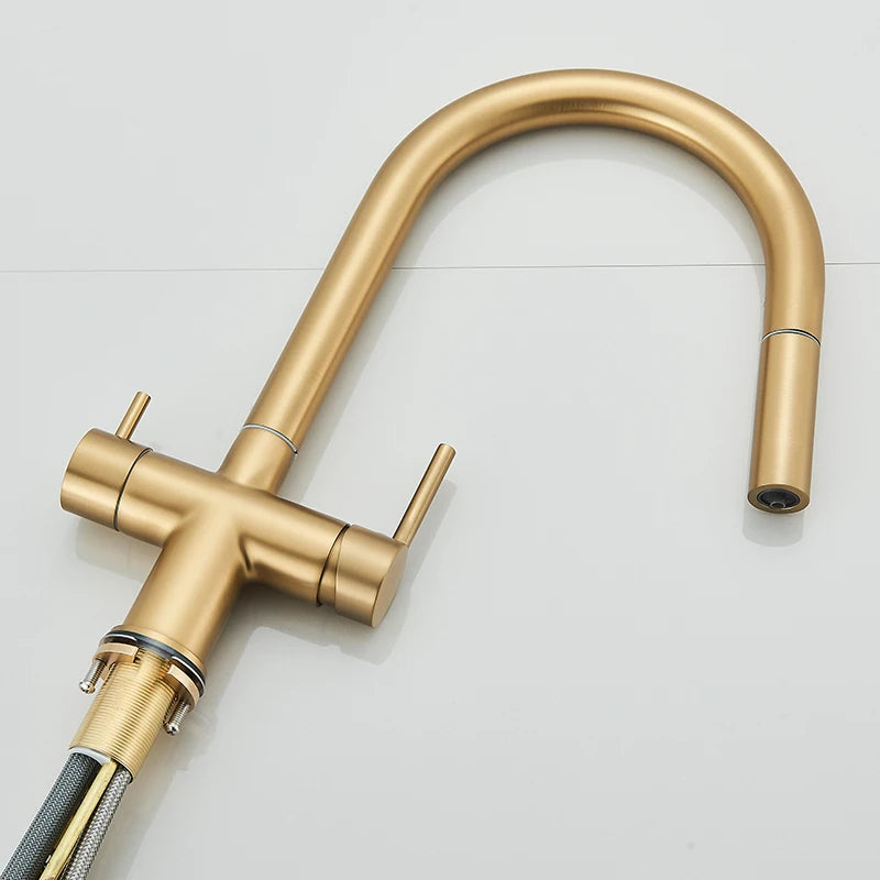 Pure Water Filter Kitchen Faucet Pull Out Flexible Kitchen Faucets Dual Handle Stainless Steel 2 in 1 Hot Cold Water Mixer Tap