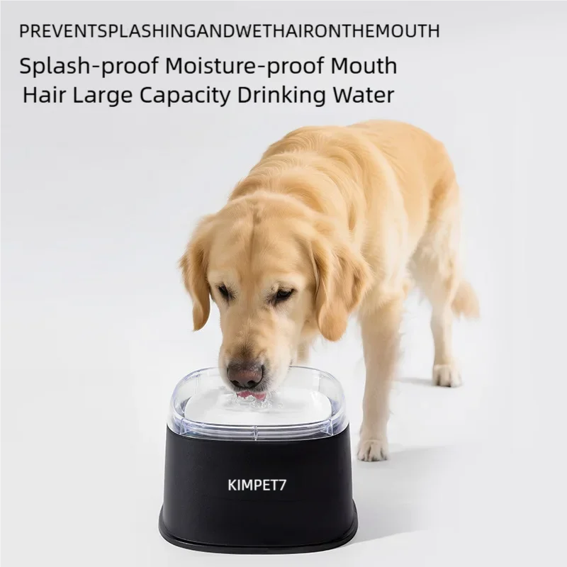 Golden Retriever drinking from a 2000ml splash-proof, slow-feeder water bowl for clean, mess-free pet hydration.