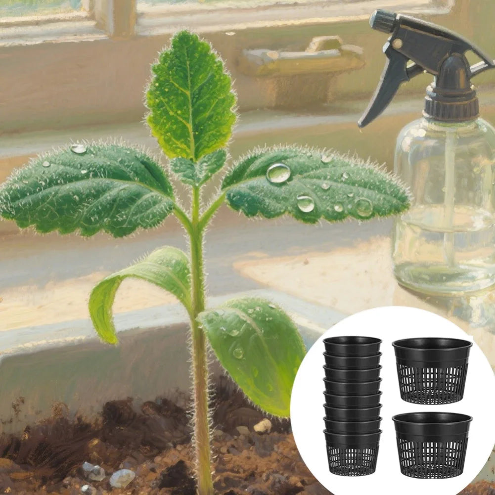 For Hydroponics Drainage Pots Flower Pot Indoor Gardening Setup As Shown Air Circulation Flower Pot Hydroponics