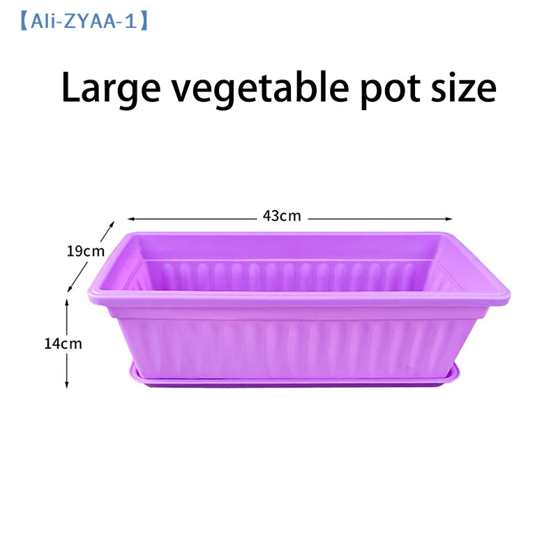 Purple rectangular plastic vegetable planter shown with size outline and measurements