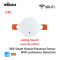 MmWave Human Presence Sensor with Luminance Detection for Smart Homes 5.8G Celling Wifi China Mainland Tidesmit