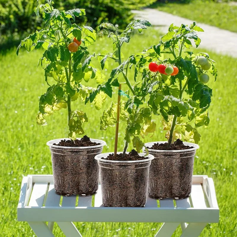 S/M/L/XL Transparent Flowerpot Plant Nursery Pot Seedling Cup Gardening Transplantation Potted Flower Pot Planter Gardening Tool