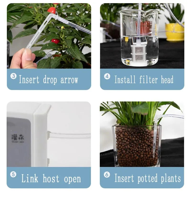 Solar drip irrigation setup steps: insert drop arrow, filter head, and connect