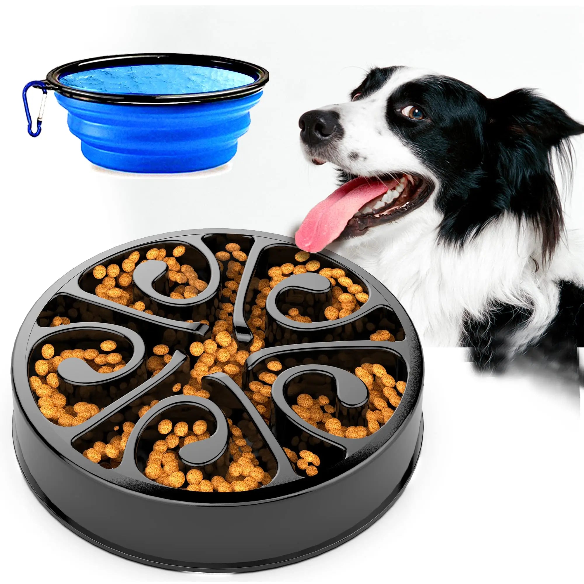 Black non-slip slow feeder dog bowl to prevent bloating and a blue collapsible travel bowl for pets.