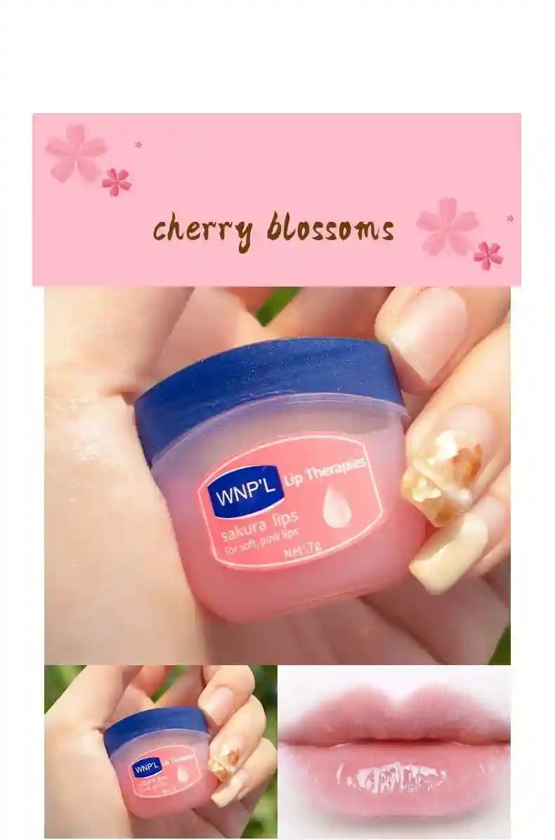 Moisturizing Lip Balm Set - Cruelty-Free Plant Oil Lip Care by Tidesmit Lip Care Tidesmit