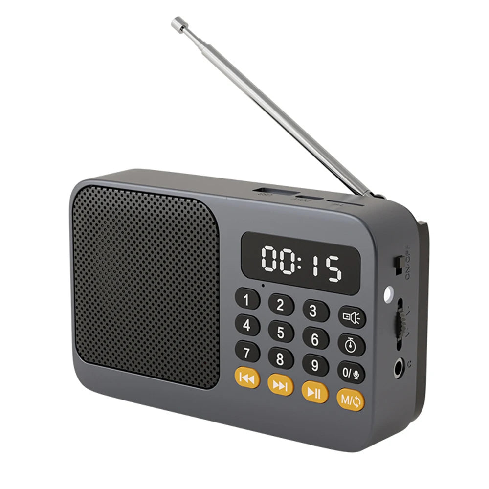 Gray portable Bluetooth FM radio speaker with antenna and front keypad display